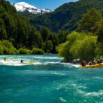 Los 5 bosques encantados donde la naturaleza susurra secretos »