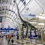 Las 5 mejores aerolíneas para viajar en diciembre »